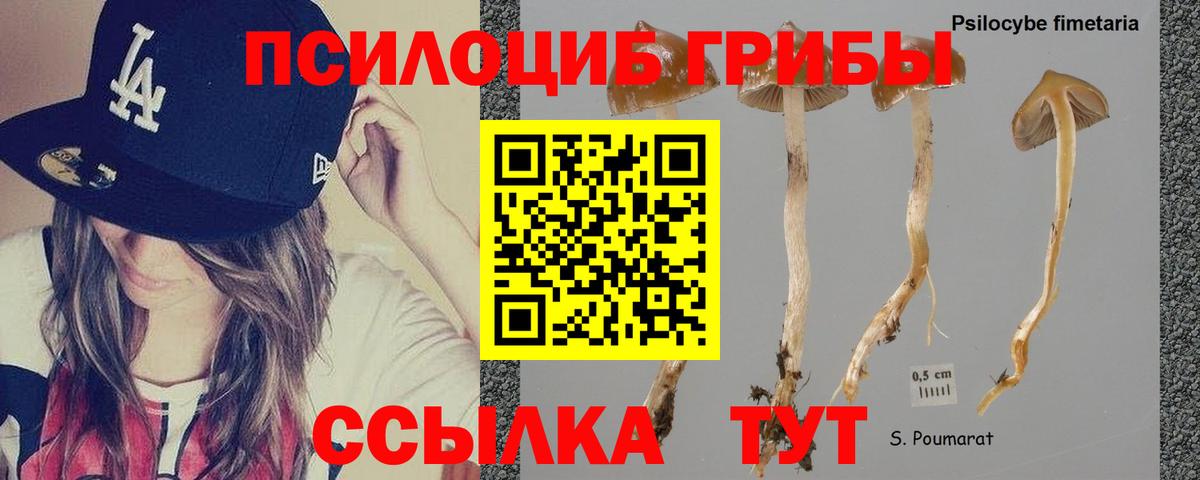 Азов  Галлюциногенные грибы MAGIC MUSHROOMS  Вход с VPN 